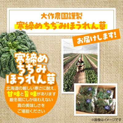 <2025年12月上旬よりお届け>寒締めちぢみほうれん草とセミドライトマトオイル漬けSBTR007