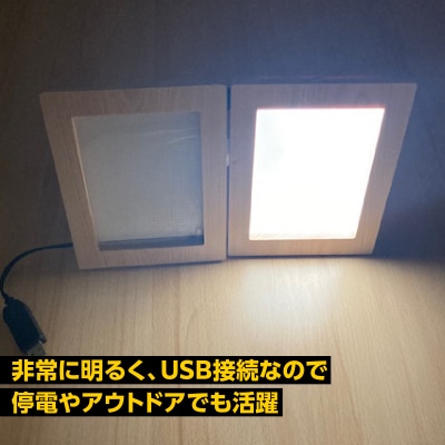 写光Shapica(シャピカ)Lサイズ　西川材フレーム　USB接続 
