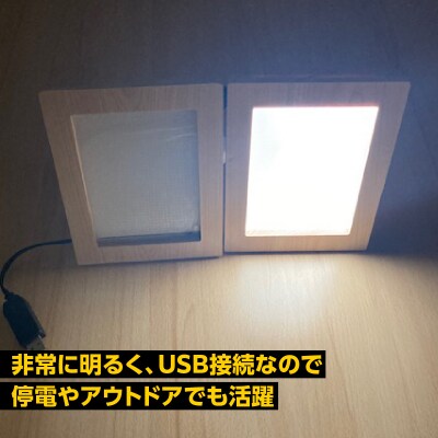 写光Shapica(シャピカ)Lサイズ西川材フレーム 1枚板タイプUSB接続 