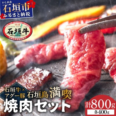 石垣牛×アグー豚(南ぬ豚)石垣島満喫焼肉セット(各400g 計800g)