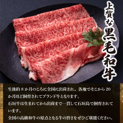 石垣牛×アグー豚(南ぬ豚)石垣島満喫焼肉セット(各400g 計800g)