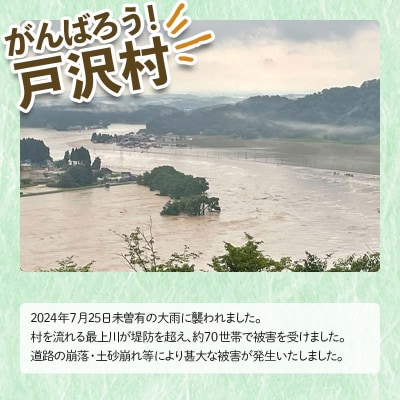 復興応援米 令和7年度 山形県戸沢村産 つや姫 5kg 精米 F7W-0185