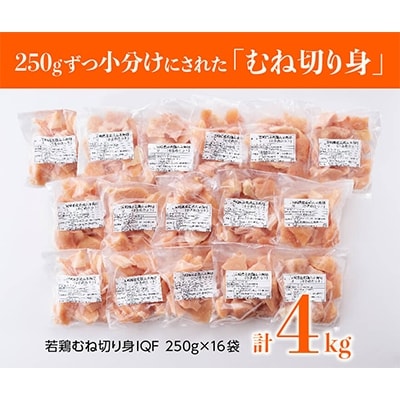 宮崎県産若鶏むね切身IQF250g×16袋　合計4.0kg