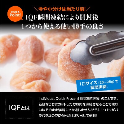 宮崎県産若鶏むね切身IQF250g×10袋 合計2.5kg