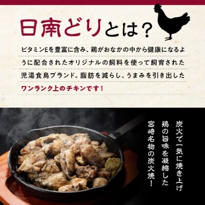日南どり本格炭火焼 110g×14袋