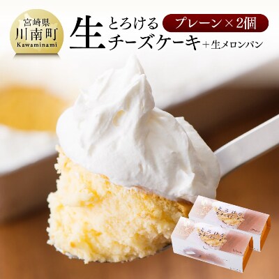 とろける生チーズケーキ プレーン2個 生メロンパン1個をお届け お礼品詳細 ふるさと納税なら さとふる