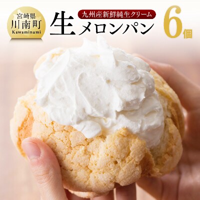 クリームたっぷり生メロンパン6個セット お礼品詳細 ふるさと納税なら さとふる