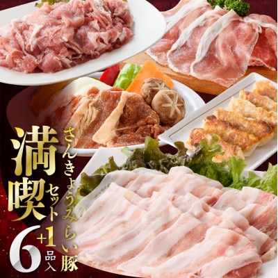 さんきょうみらい豚 『満喫セット(ハンバーグ付き)』