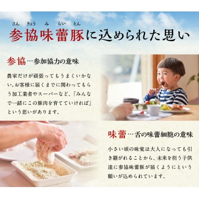 さんきょうみらい豚 『満喫セット(ハンバーグ付き)』