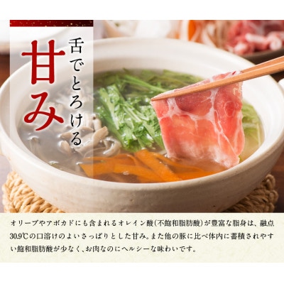 さんきょうみらい豚 『満喫セット(ハンバーグ付き)』