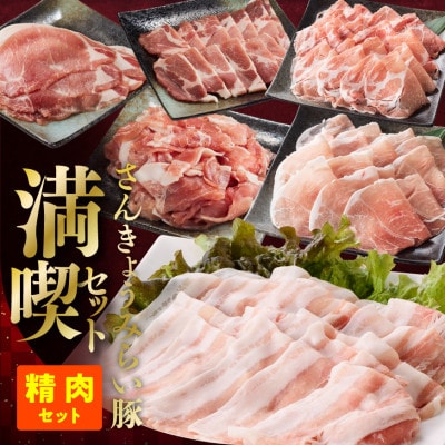 さんきょうみらい豚　満喫セット(精肉6種)