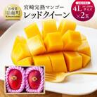【令和5年発送】完熟マンゴー「レッドクイーン」4L×2玉