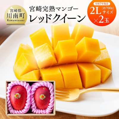【令和7年発送】宮崎県産完熟マンゴー 「レッドクイーン」2L×2玉