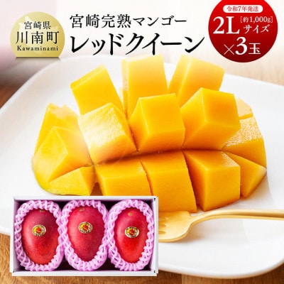【令和7年発送】宮崎県産完熟マンゴー 「レッドクイーン」2L×3玉