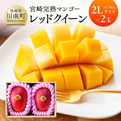 【令和8年発送】宮崎県産完熟マンゴー　「レッドクイーン」2L×2玉