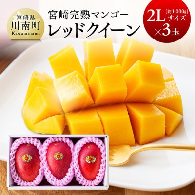 【令和8年発送】宮崎県産完熟マンゴー　「レッドクイーン」2L×3玉