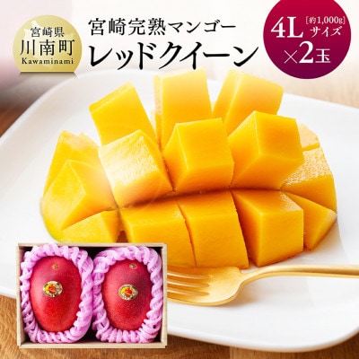 【令和8年発送】宮崎県産完熟マンゴー　「レッドクイーン」4L×2玉