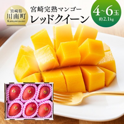 【令和8年発送】宮崎県産完熟マンゴー　「レッドクイーン」4～6玉