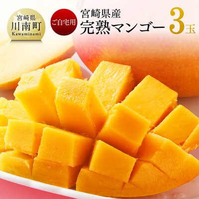【令和8年発送】宮崎県産完熟マンゴー　ご自宅用3玉