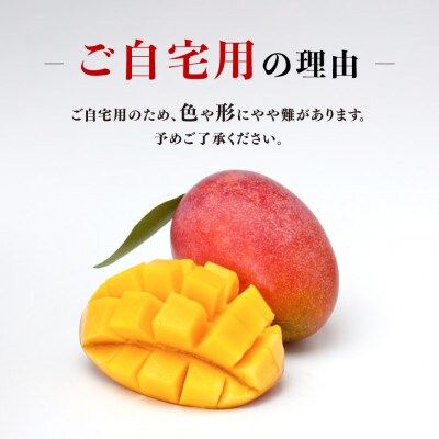 【令和8年発送】宮崎県産完熟マンゴー　ご自宅用3玉