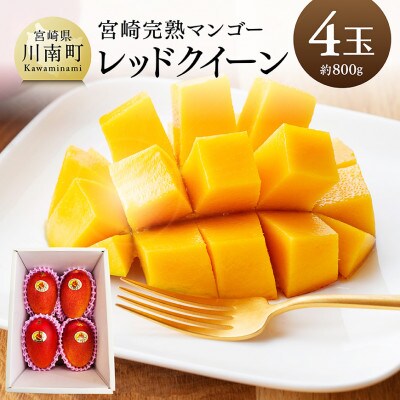 【令和8年発送】宮崎県産完熟マンゴー　「レッドクイーン」4玉(約800g)