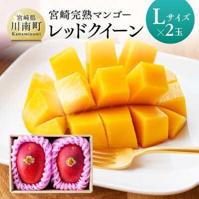 【令和8年発送】宮崎県産完熟マンゴー　「レッドクイーン」L×2玉