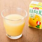 サンA日向夏ジュース100%　125ml×24本セット