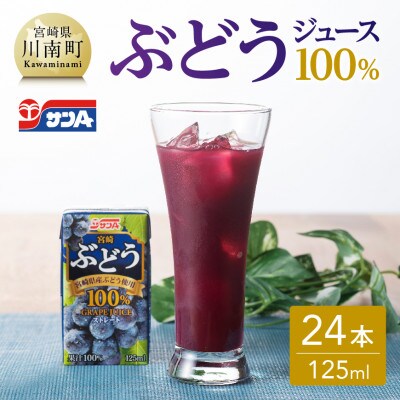 ぶどうジュース100%(ストレート)紙パック(125ml×24本)