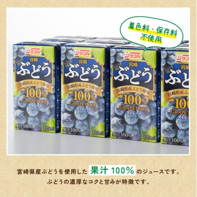 ぶどうジュース100%(ストレート)紙パック(125ml×24本)