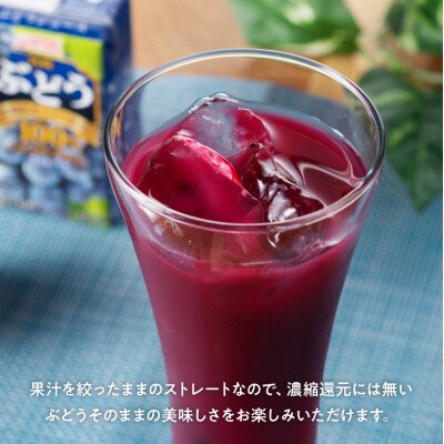 ぶどうジュース100%(ストレート)紙パック(125ml×24本)
