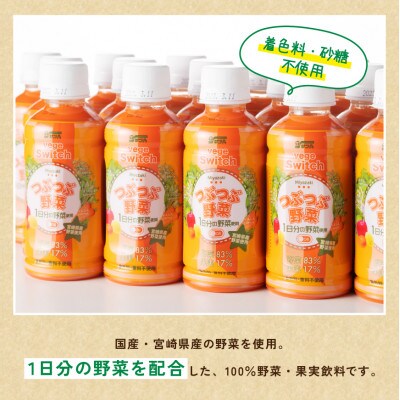 つぶつぶ野菜のべジスイッチPET(200ml×48本)
