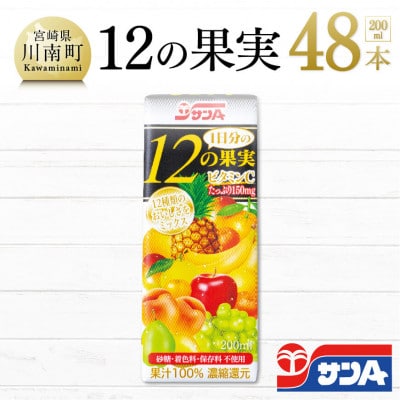 [フルーツミックスジュース]1日分の12の果実48本(24本×2ケース)セット