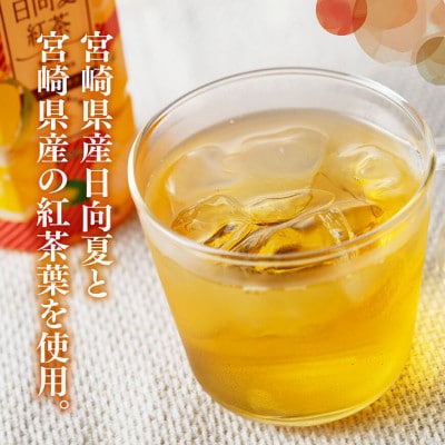 サンA日向夏紅茶HINATA　TEA500mlPET　24本入り(川南町)