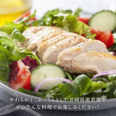 宮崎県産鶏むね肉 約6kg(1枚ずつ小分けのセット)