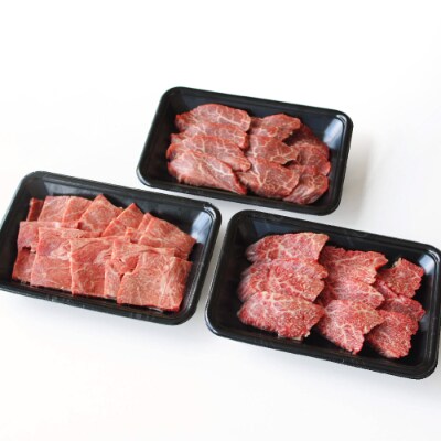 宮崎牛焼肉セット(川南町)
