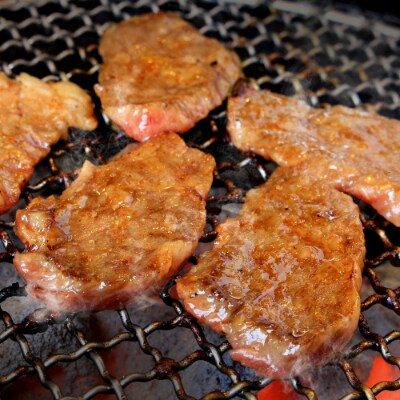 宮崎牛焼肉セット(川南町)