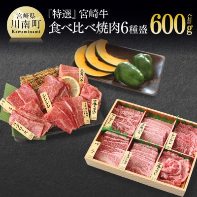 宮崎牛”特選”食べ比べ焼肉6種盛り　合計600g