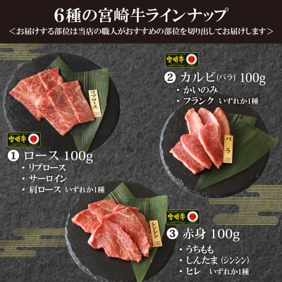 宮崎牛”特選”食べ比べ焼肉6種盛り　合計600g
