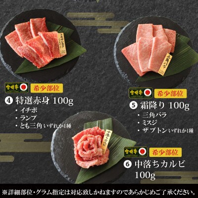 宮崎牛”特選”食べ比べ焼肉6種盛り　合計600g