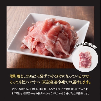 宮崎県産豚肉「川南ポーク」切り落とし2.25kg(250g×9袋)