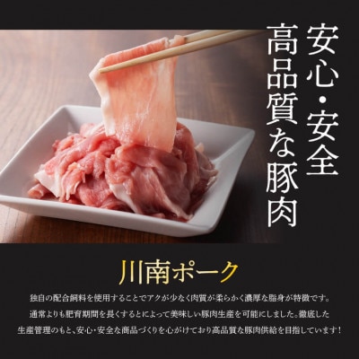 【毎月定期便】川南ポ-ク切り落とし2.25kg　250g×9袋全3回