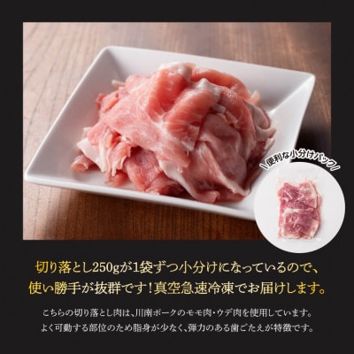 【毎月定期便】川南ポ-ク切り落とし2.25kg　250g×9袋全3回