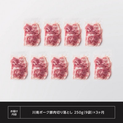 【毎月定期便】川南ポ-ク切り落とし2.25kg　250g×9袋全3回