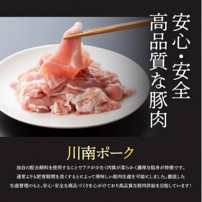 【毎月定期便】川南ポ-ク小間切れ4.2kg　300g×14袋全3回