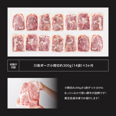 【毎月定期便】川南ポ-ク小間切れ4.2kg　300g×14袋全3回