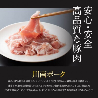 【毎月定期便】川南ポ-ク小間切れ2.1kg　300g×7袋全6回