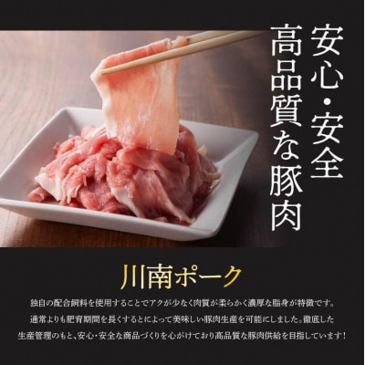 【毎月定期便】川南ポ-ク切り落とし4.5kg　250g×18袋全3回