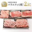 様々な料理にお使いいただけます! 宮崎県産 豚肉 バラエティ 4種 セット 2.5kg