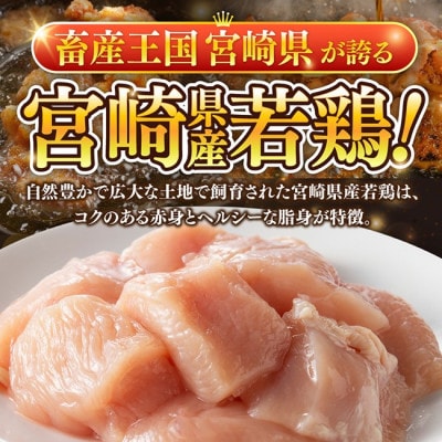 【宮崎県産】若鶏むね切身4.8kg(300g×16)