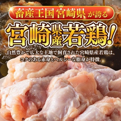 【宮崎県産】若鶏手羽元4.5kg(500g×9)